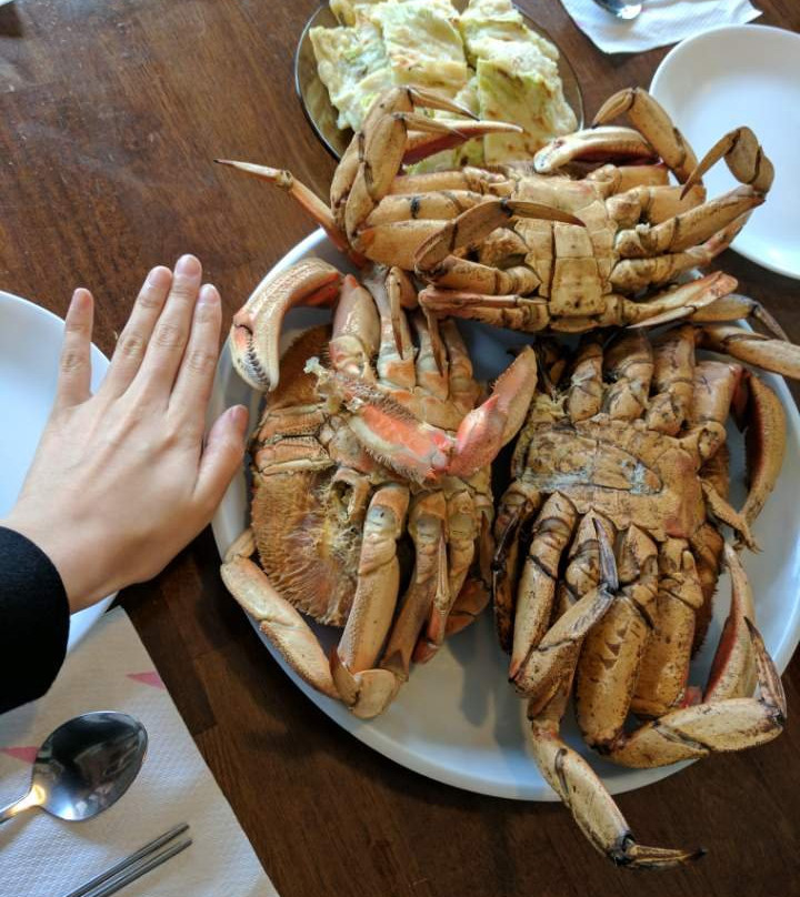 Sea Raven Motel主图