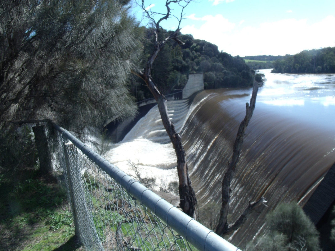 Lake Trevallyn-朗塞斯顿必去景点