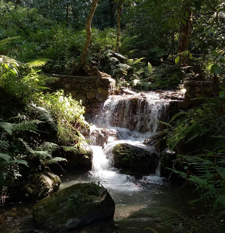 Benog Wildlife Sanctuary-马苏里必去景点