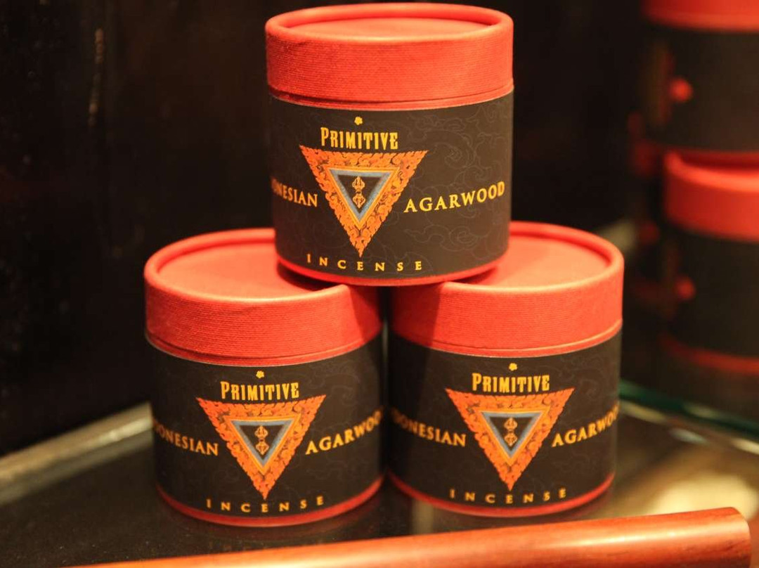 Primitive-芝加哥必去景点