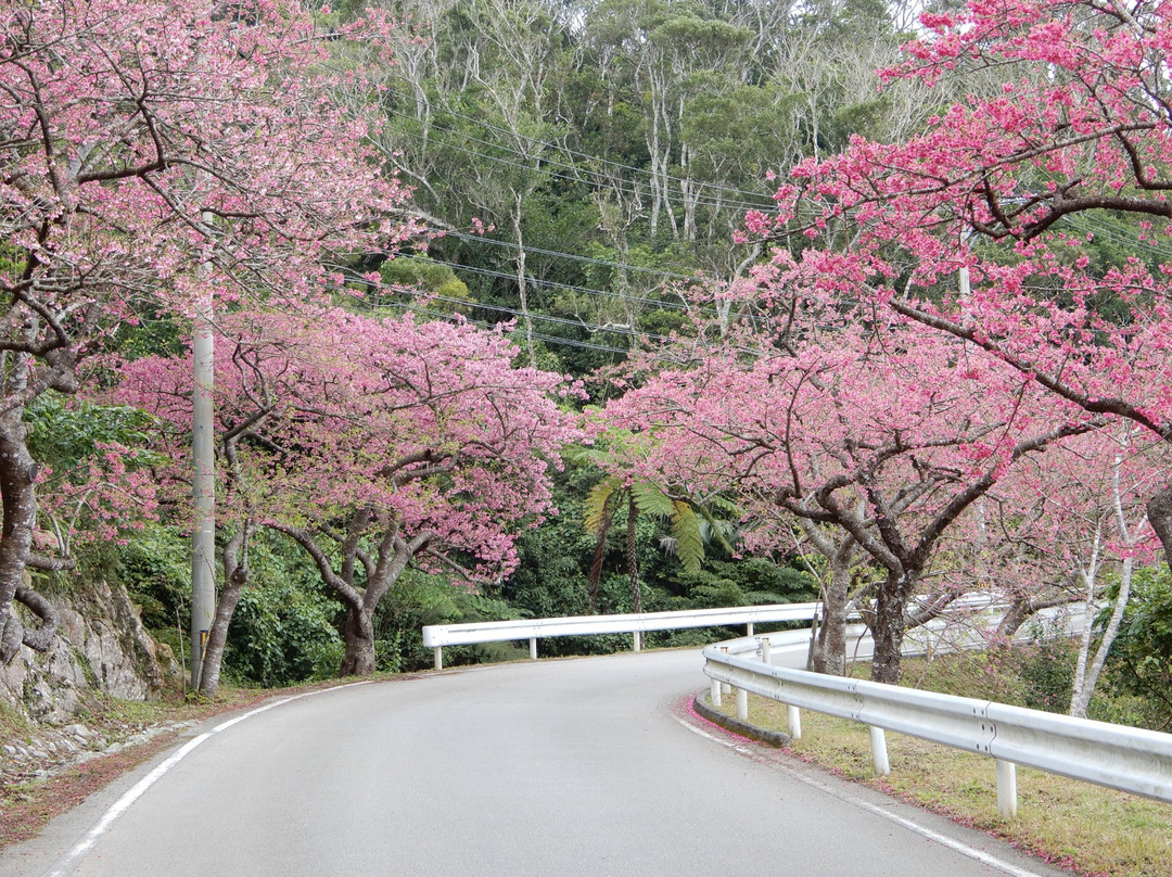 Mt. Yaedake-本部町必去景点