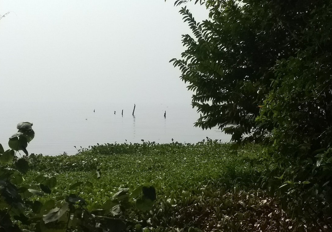 Pathiramanal Island-阿拉普扎必去景点