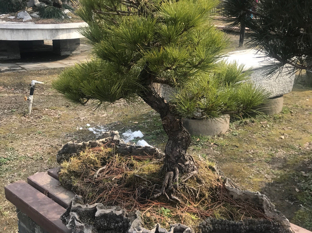 五亭桥-扬州市必去景点