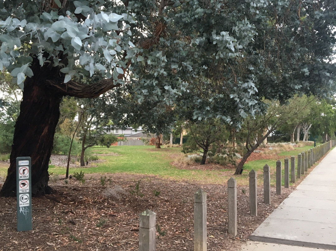 Hampton旅游景点-Wishart Reserve