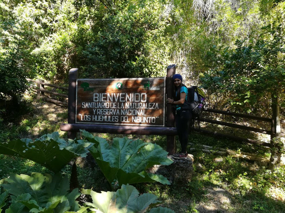 Reserva Natural Los Huemules del Niblinto