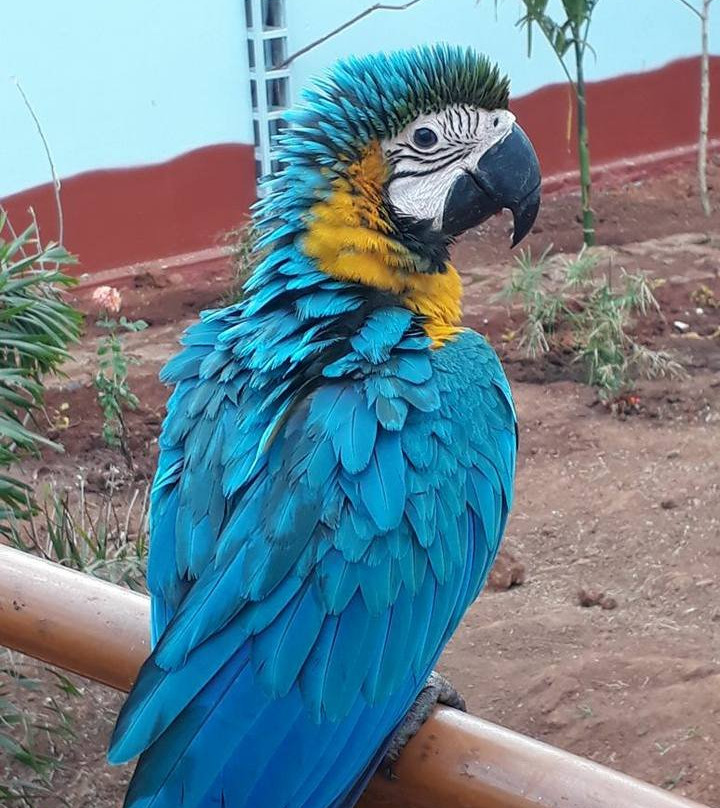 Fundera Park-Yelagiri必去景点