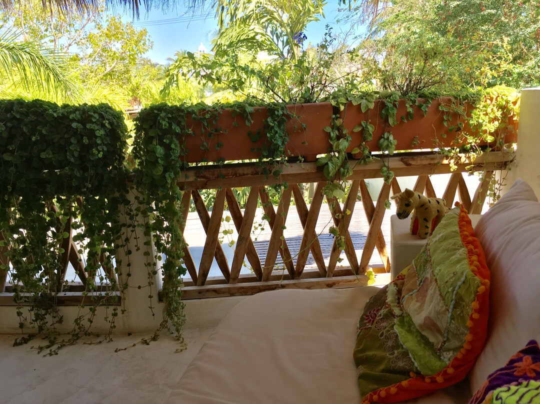 Villa Maria B&B主图