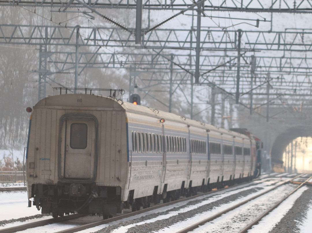 Saemaeul Express train-Dong-gu必去景点