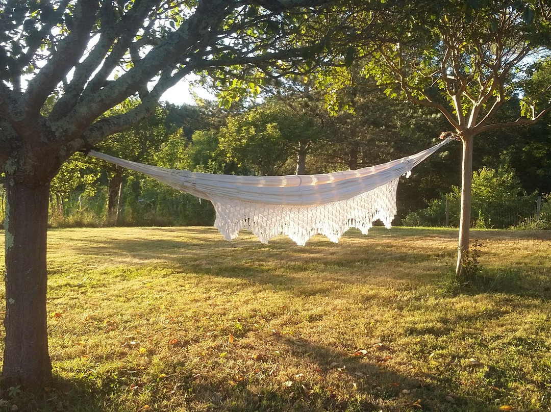 O Petit BOnheur主图