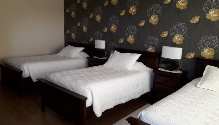 Hotel Pitrufquen主图