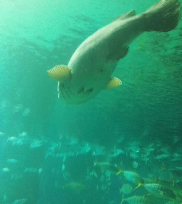 黄金海岸保护区-昌黎县必去景点