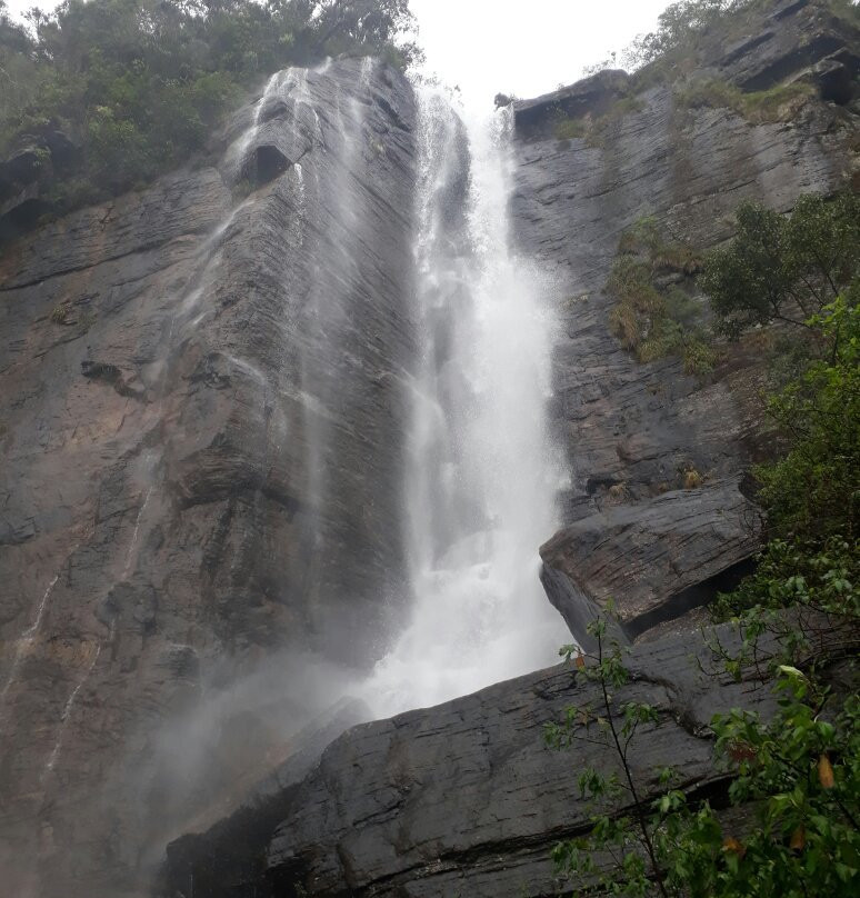 Treatooo White Palace主图