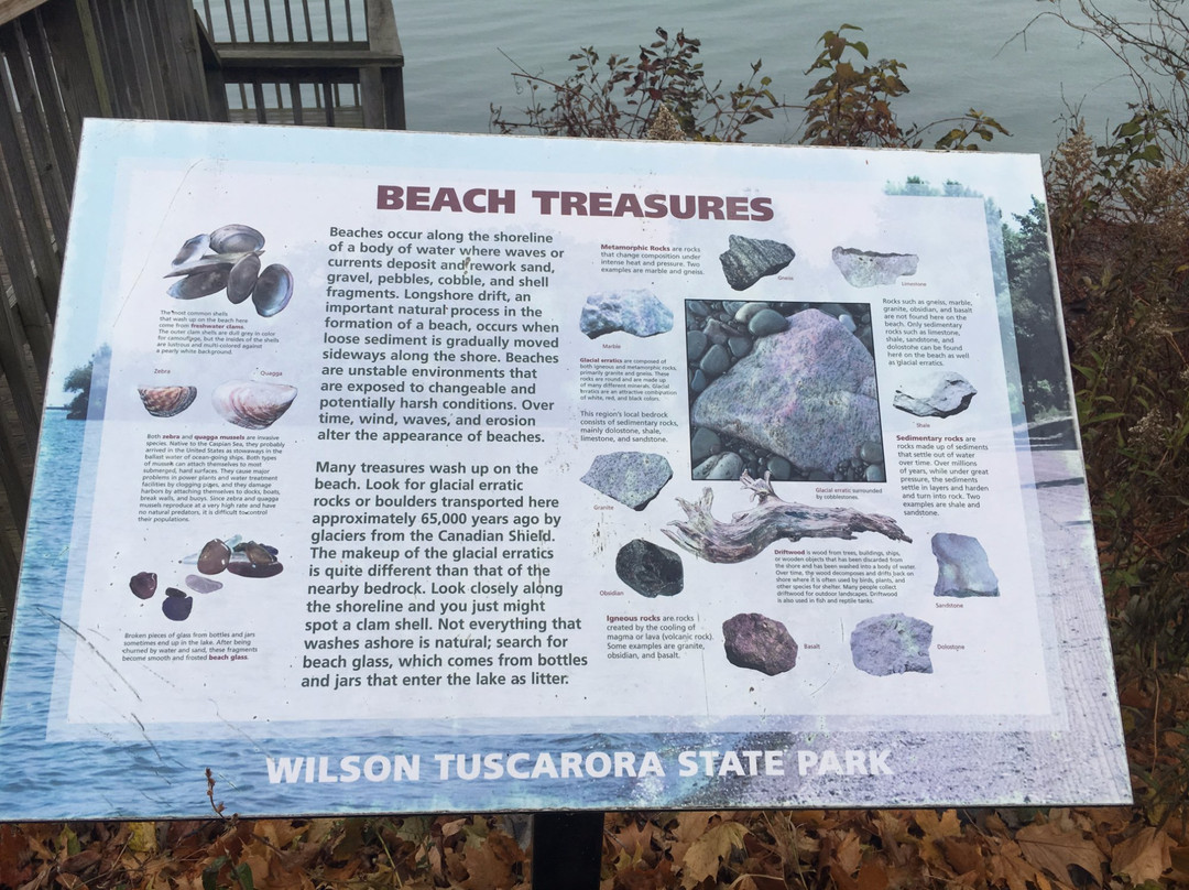 Wilson-Tuscarora State Park景点图片