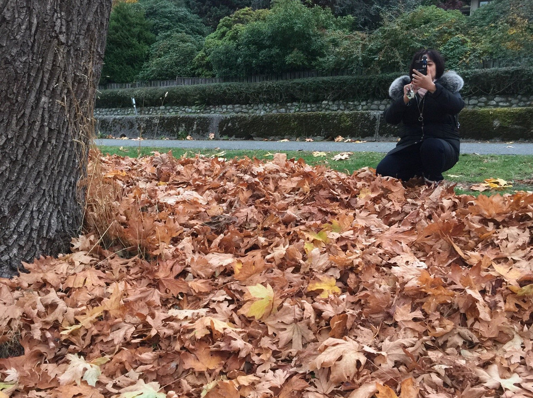 Foreshore Park-纽卡斯尔必去景点