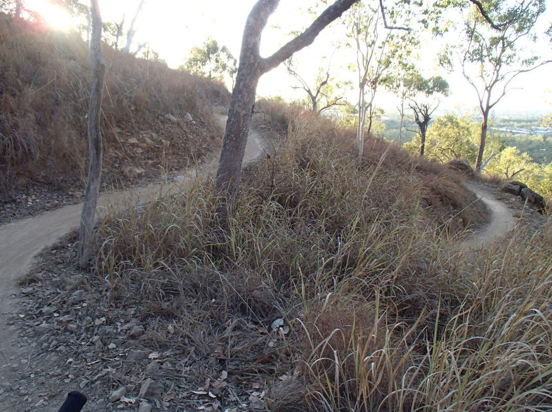 Douglas Mountain Bike Reserve-汤斯维尔必去景点