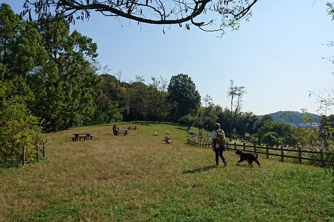 Oyamada Park-町田市必去景点