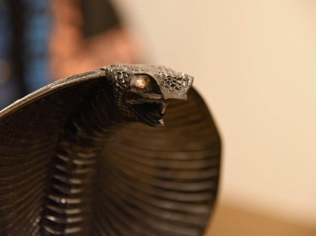 Lockdown Escape Rooms-斯科茨代尔必去景点