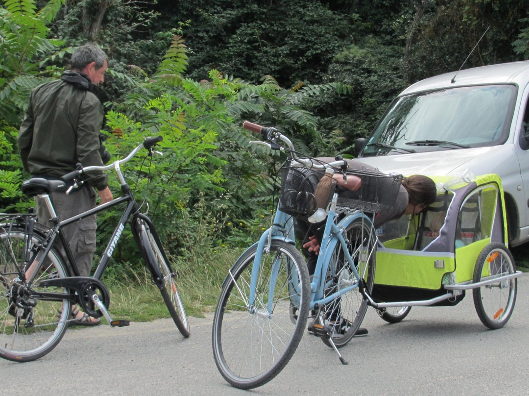 Pistes Cyclables en Gironde景点图片