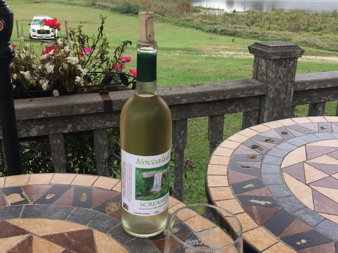 Wills Creek Vineyards景点图片