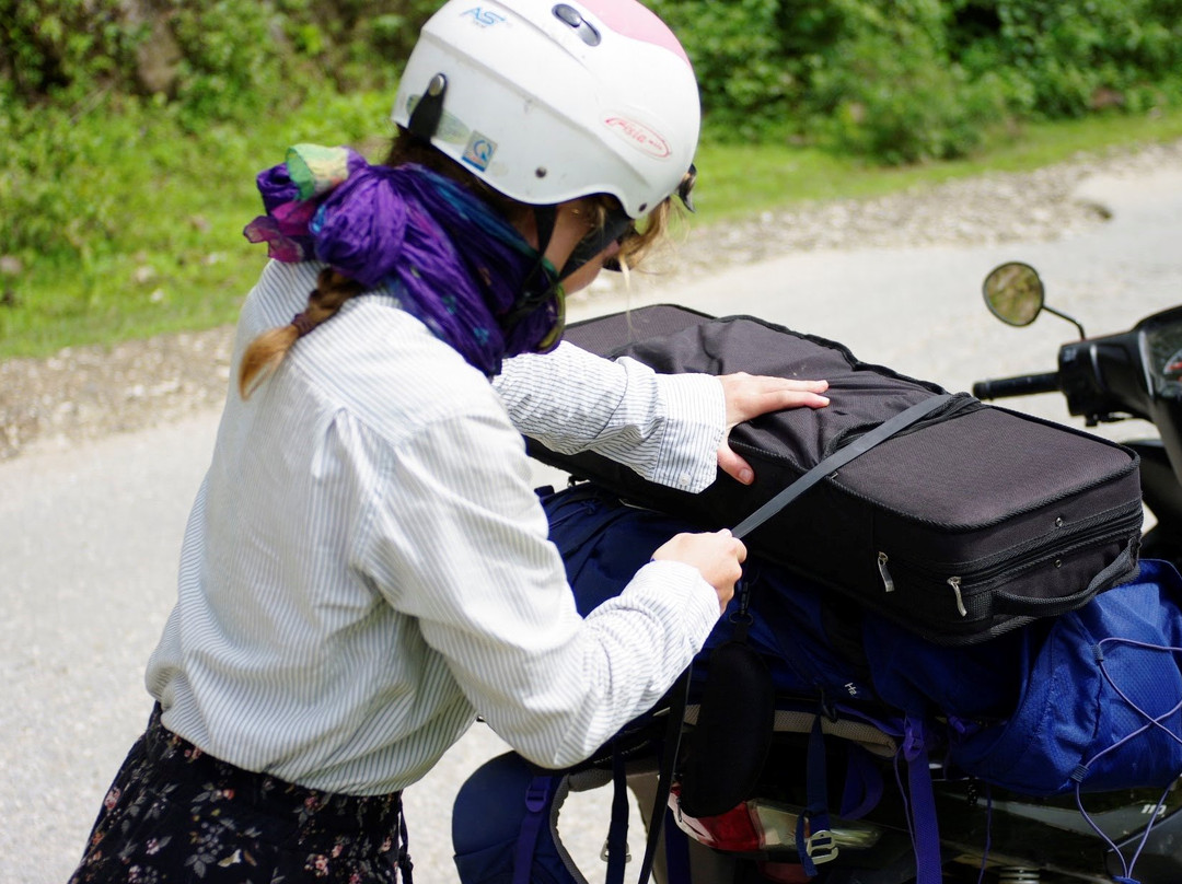 早春游-大理市必去景点