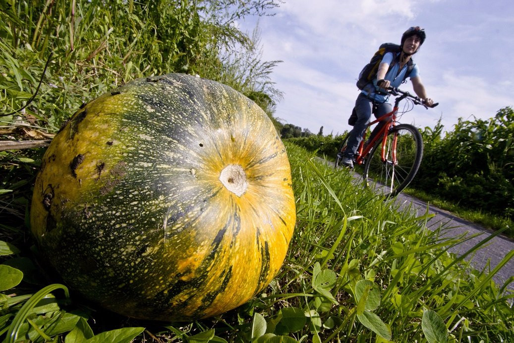 Murradweg