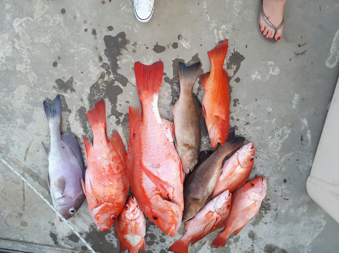 Blownaway Fishing Charters-凯恩斯必去景点