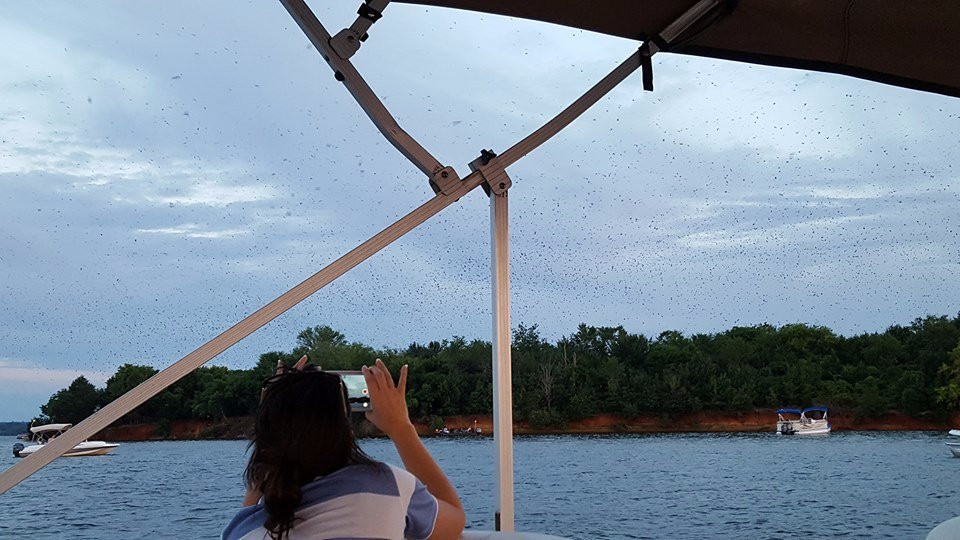 Lake Murray Adventures-Leesville必去景点