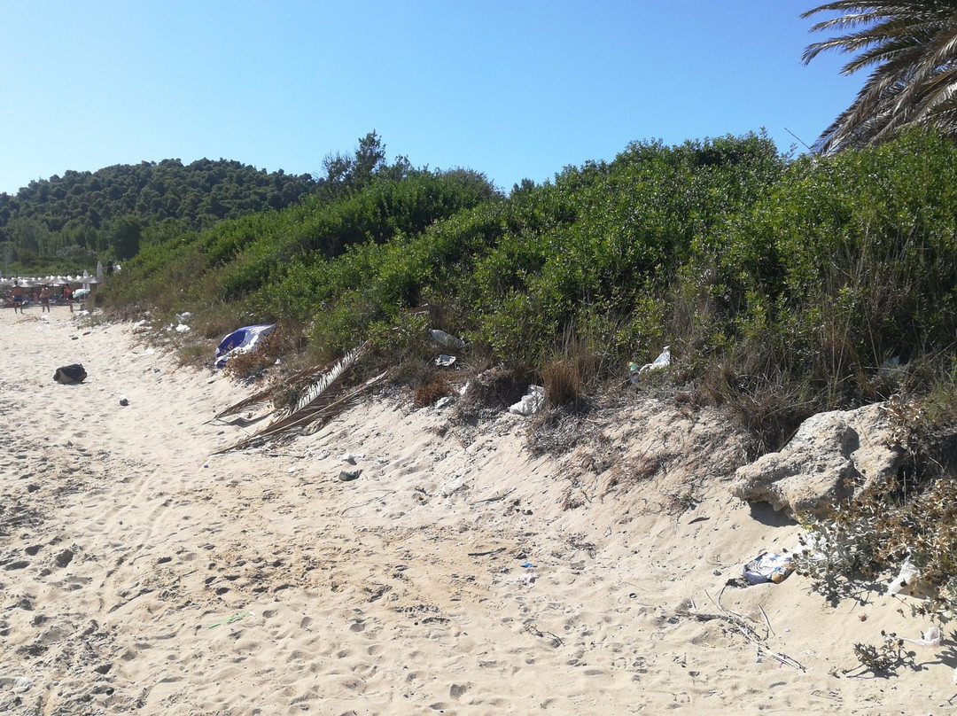 Chaniotis旅游攻略图片