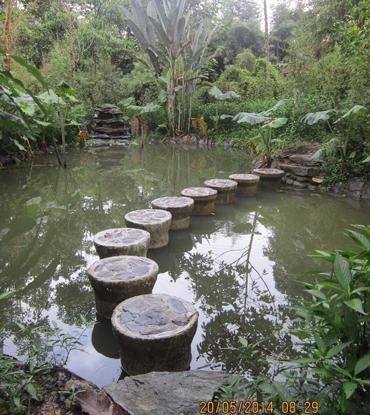 Laberinto de Bambu-明多必去景点