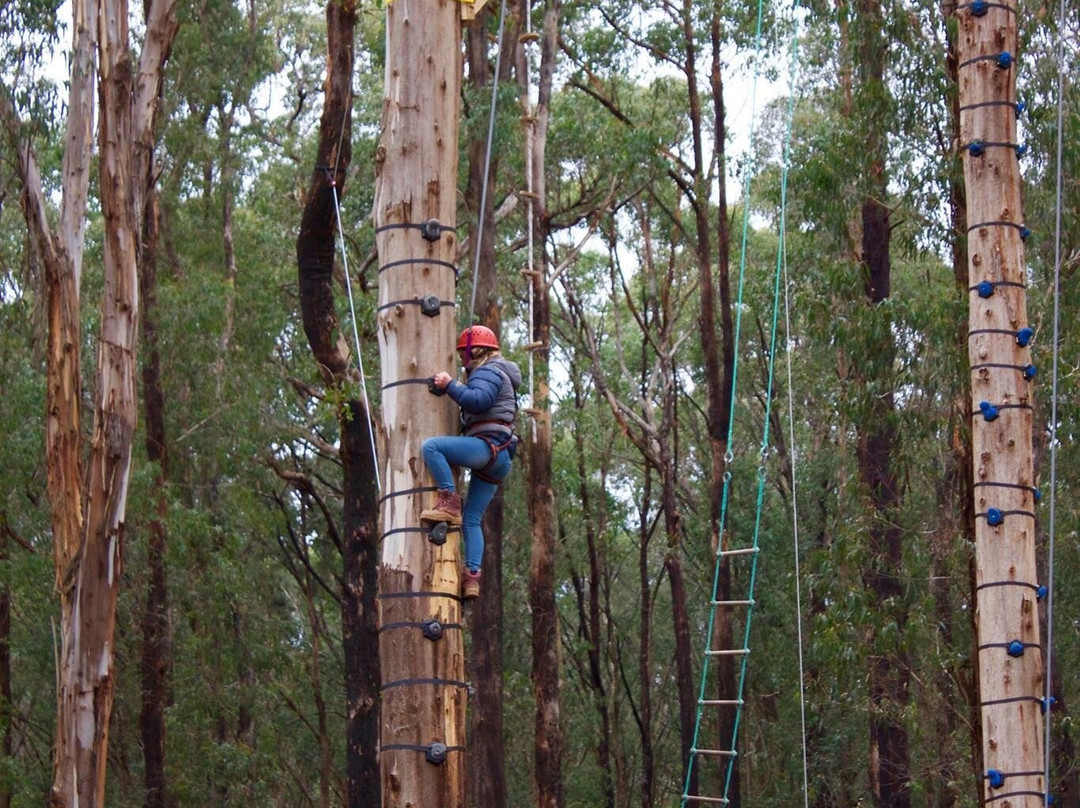 Kinglake Forest Adventures-Kinglake必去景点