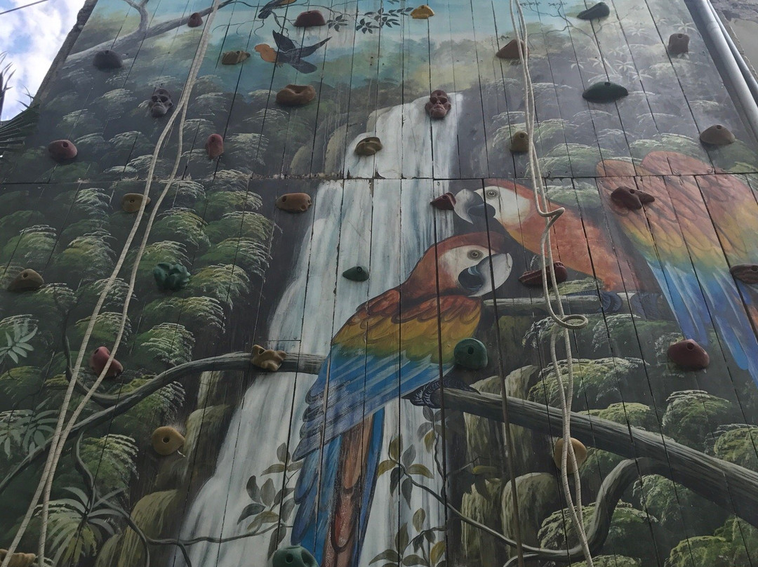 Isla las Turunas-拉梅尔塞必去景点