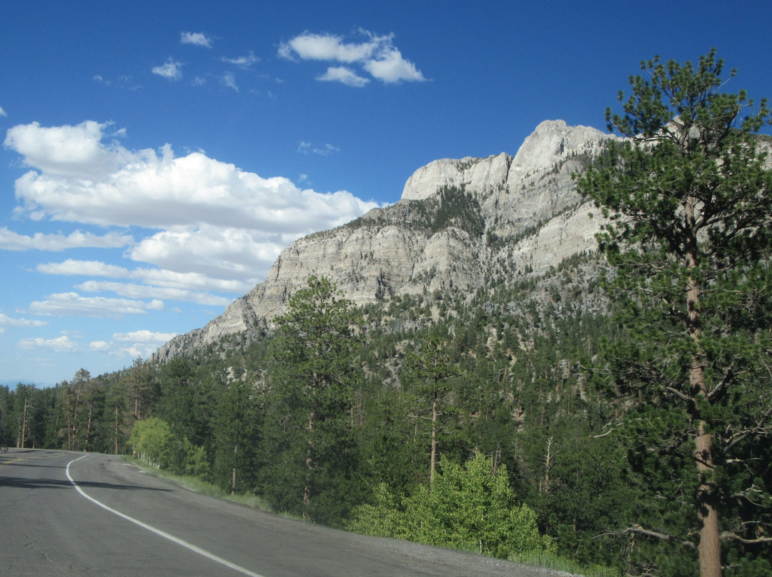 Toiyabe国家森林-斯帕克斯必去景点