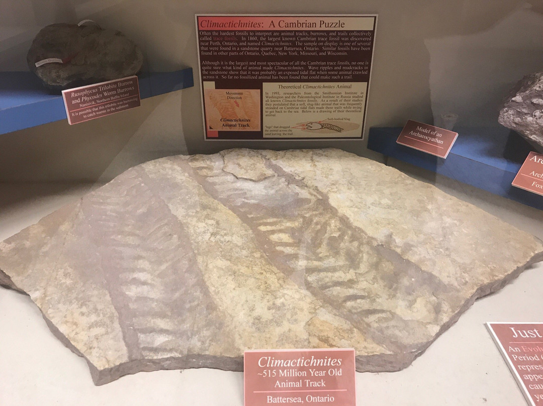 Miller Museum of Geology-金斯顿必去景点