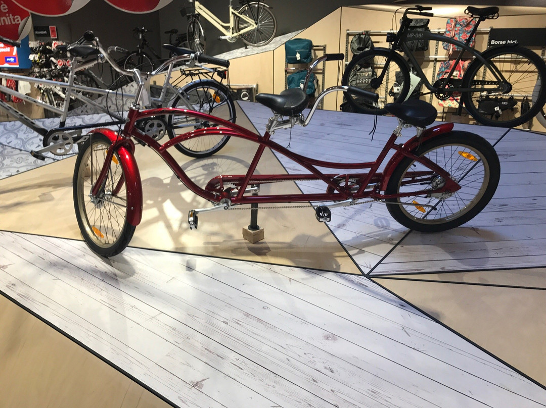 Sportler Climbing Center景点图片