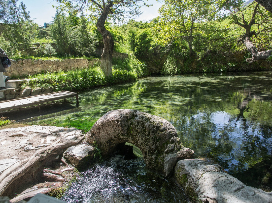 Chor-Chinor Garden-Urgut必去景点