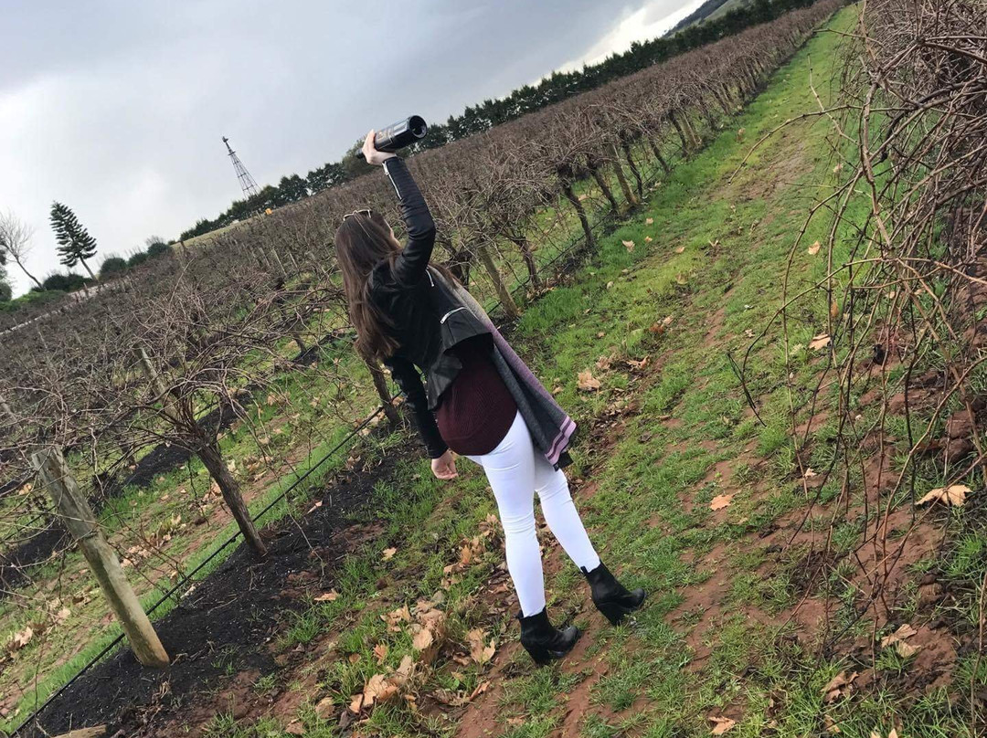 Sieber Wines景点图片