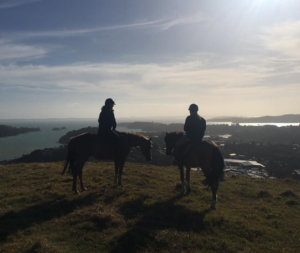 Waiheke Equestrian-怀系奇岛必去景点