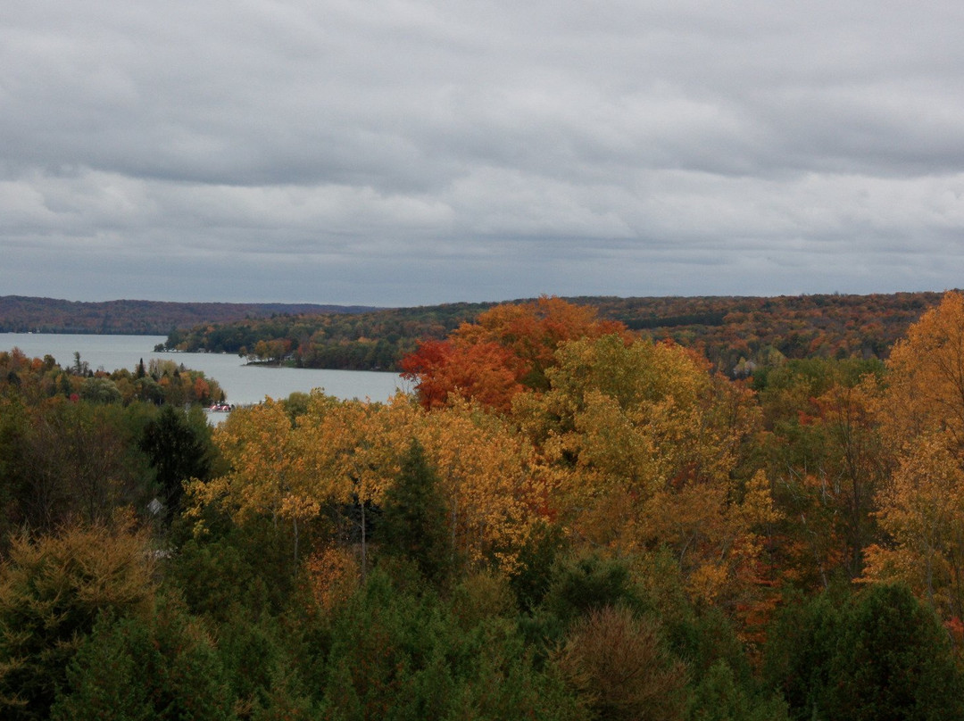 Coveyou Scenic Farm-皮托斯基必去景点
