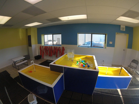 Kids Play Gym-布卢明顿必去景点