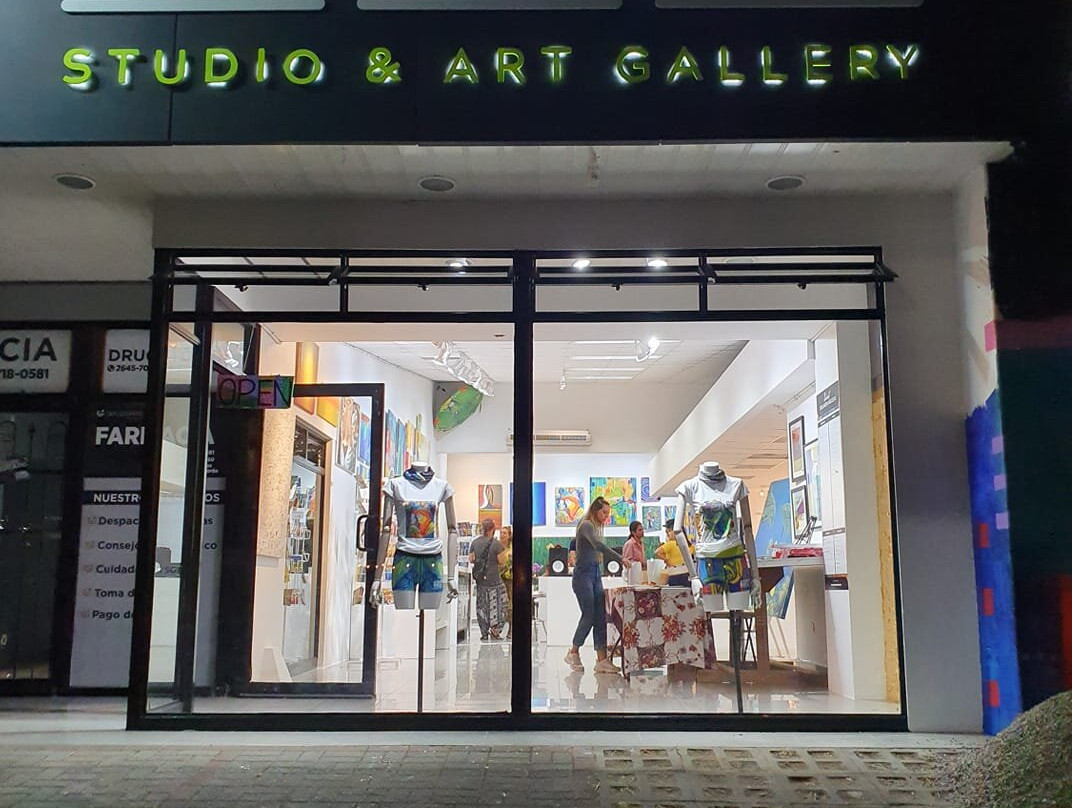 Ferlander Arguedas Studio & Art Gallery景点图片
