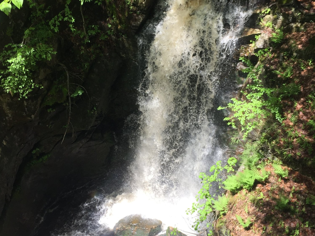 Royalston Falls景点图片