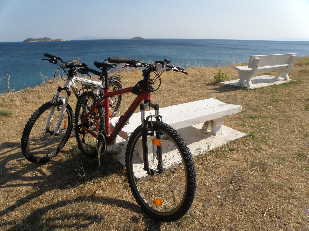 Andros by Bike景点图片