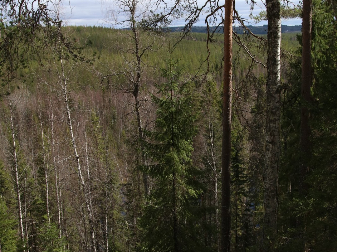Kulhanvuori Hill Nature Reserve景点图片