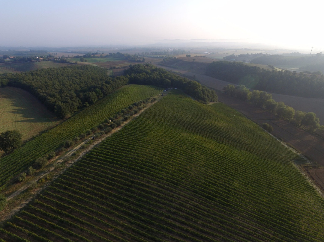 Azienda Agraria San Gregorio景点图片