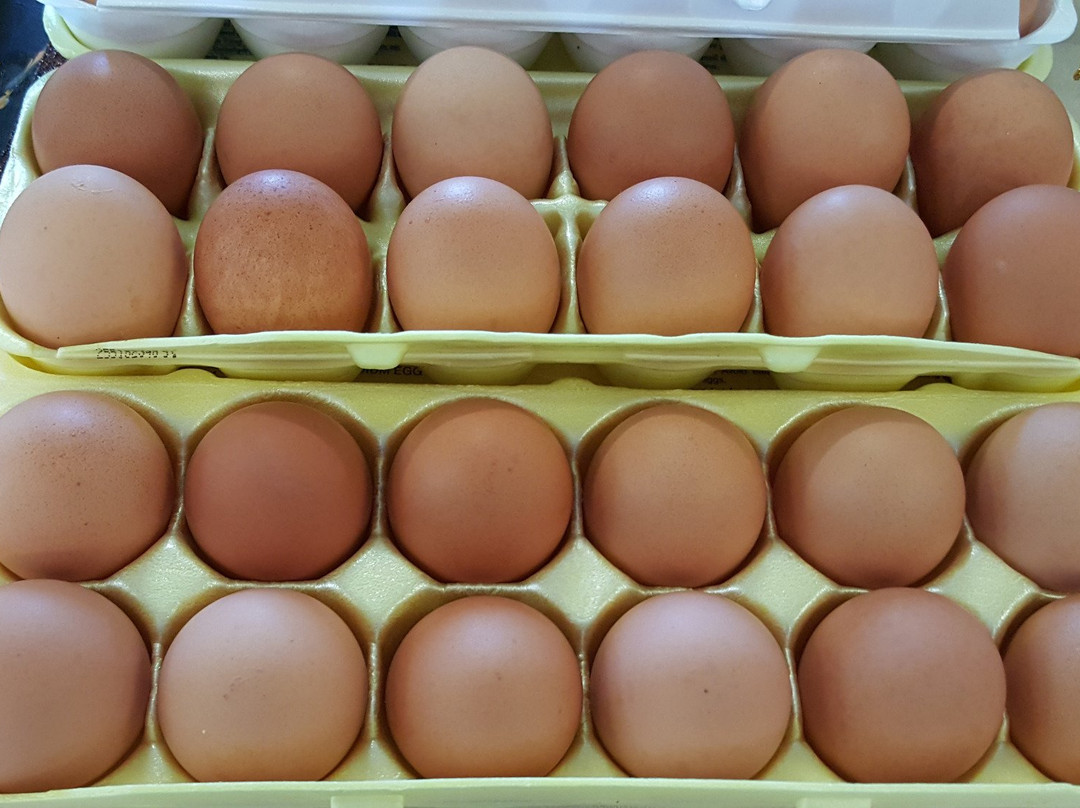 Brevard County Farmer's Market景点图片