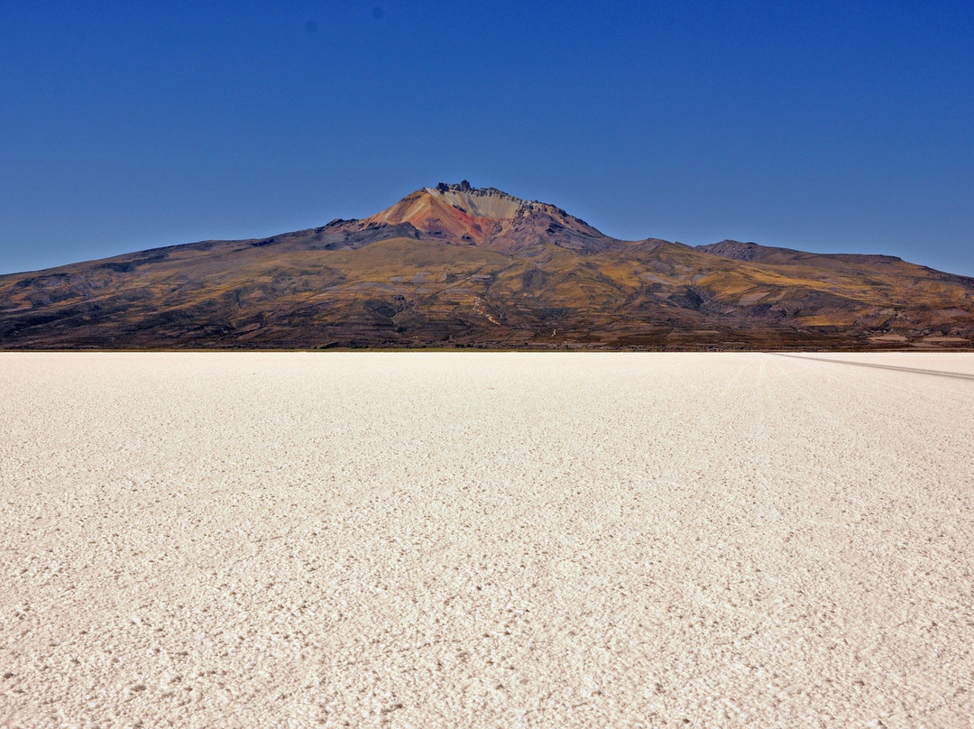 Uyuni Expeditions-乌尤尼必去景点