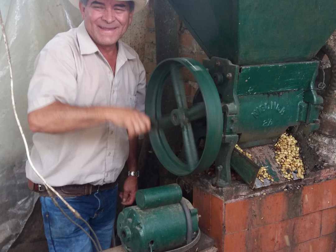 Cafe La Arzacia-萨伦托必去景点