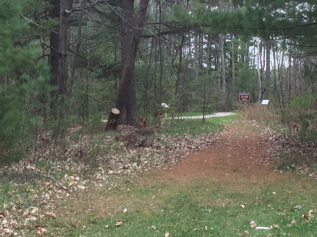 William Mitchell State Park-Cadillac必去景点