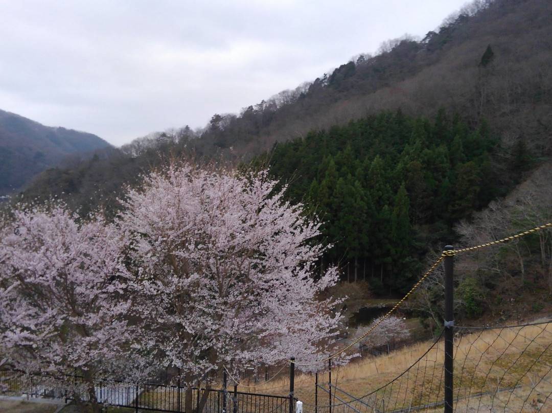 Hitokura Park-川西市必去景点