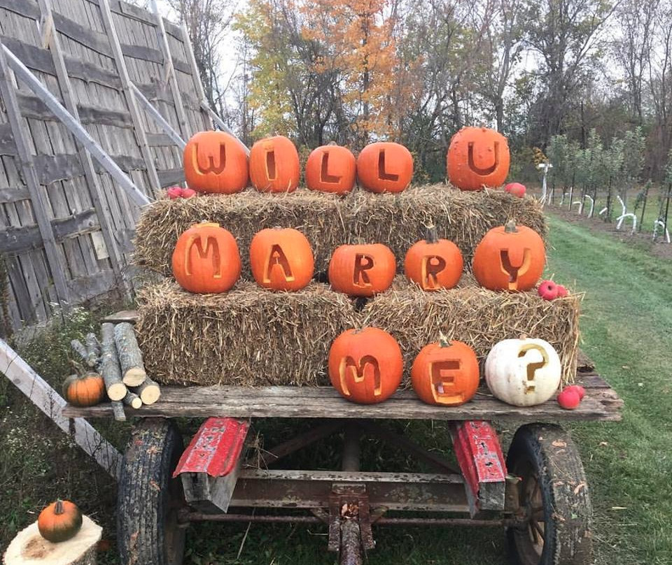 Cannamore Orchard-Crysler必去景点